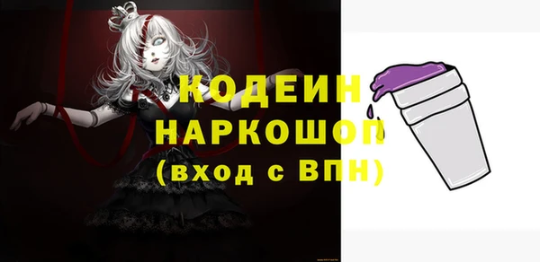 твердый Лагань