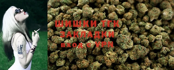 твердый Лагань