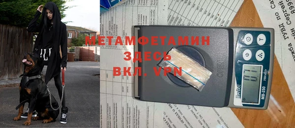 твердый Лагань