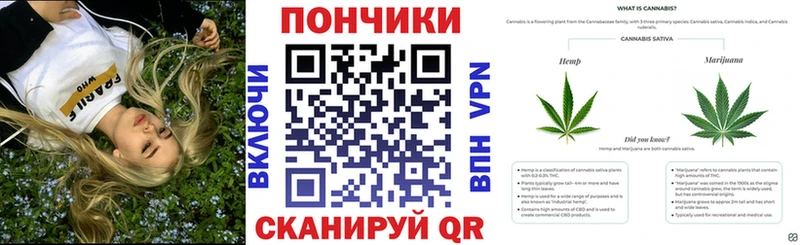 Шишки марихуана THC 21%  Чаплыгин 